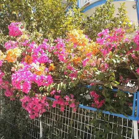 Seaview Selfcatering Studio Helen No 1 Apartment *